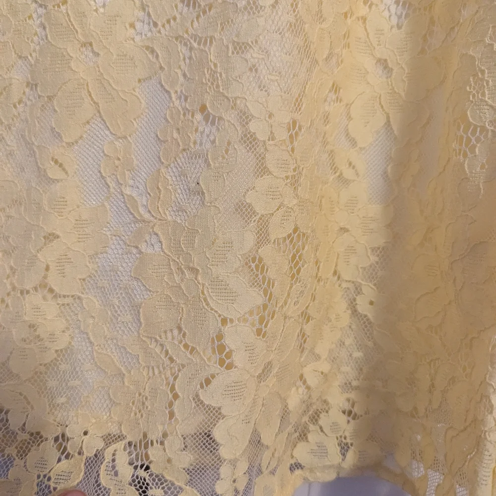 Children's Place Lace Toddler Girl Dress NWT